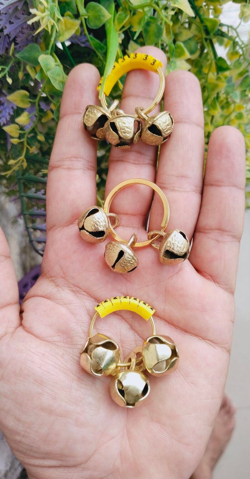 Big Size Yellow Golden Ring Clapping Ghungroo Brass Metal Combo